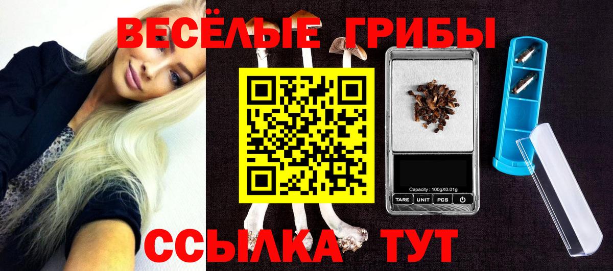 Таганрог  что такое наркотик  Вход с VPN  Псилоцибиновые грибы MAGIC MUSHROOMS 